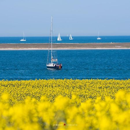 Urlaub Mit Ostseeblick, Schwimmbad, Sauna & Direkte Strandlage Kronsgaard Eksteriør billede