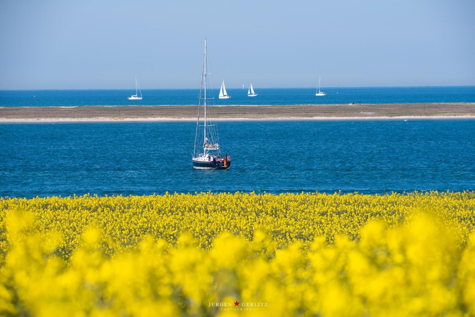 Urlaub Mit Ostseeblick, Schwimmbad, Sauna & Direkte Strandlage Kronsgaard Eksteriør billede