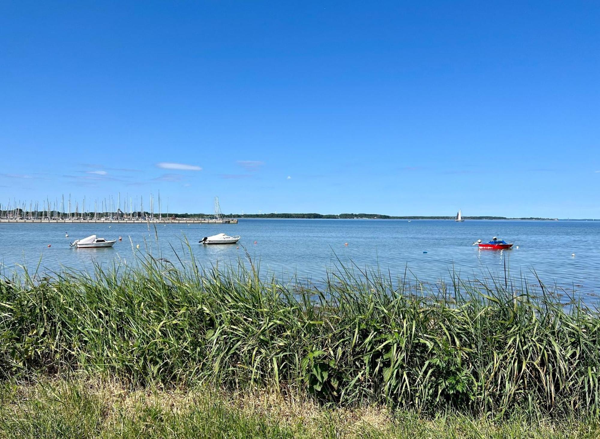 Urlaub Mit Ostseeblick, Schwimmbad, Sauna & Direkte Strandlage Kronsgaard Eksteriør billede